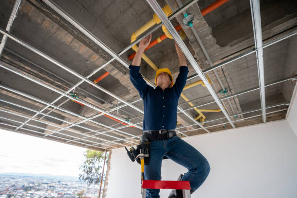 Best Local Plumber Services  in Spring Grove, MN
