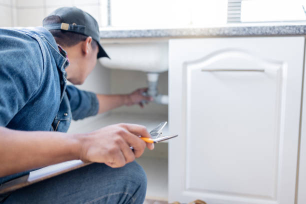 Best Clogged Drain Plumber  in Spring Grove, MN