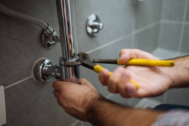 Best Commercial Plumbing Services  in Spring Grove, MN
