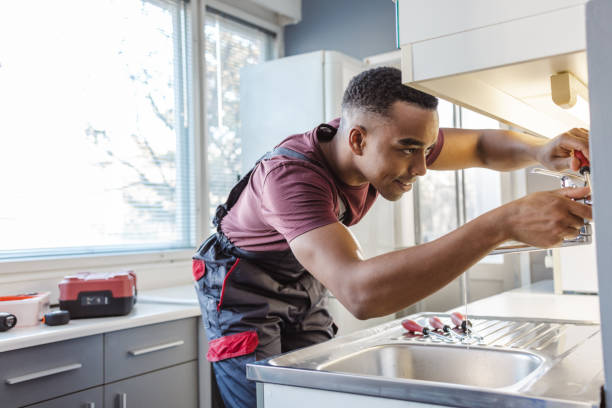 Best Plumbing Services Near Me  in Spring Grove, MN