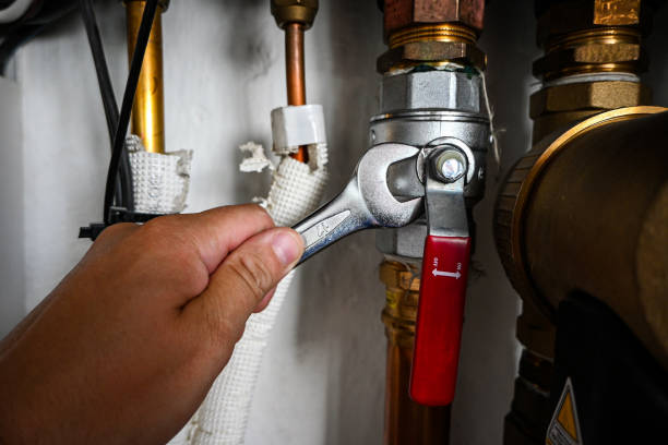Best Water Heater Repair  in Spring Grove, MN